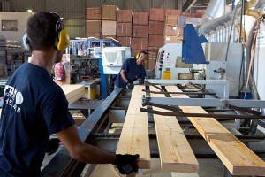 סדנת עבודה - אורדילן