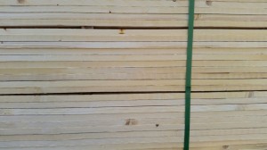 לבן יונה 1 - אורדילן