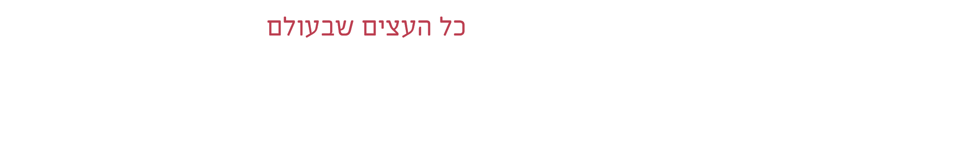 אורדילן חברה ליבוא ושיווק בע"מ 1