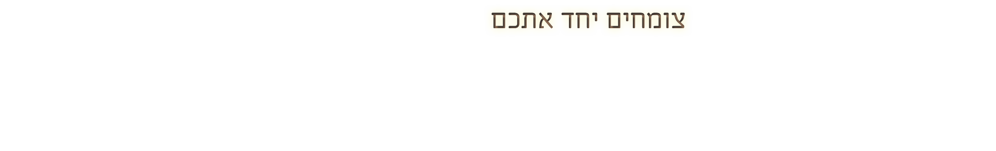 אורדילן חברה ליבוא ושיווק בע"מ 9