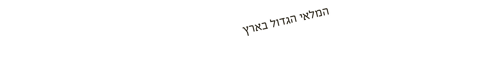 אורדילן חברה ליבוא ושיווק בע"מ 16